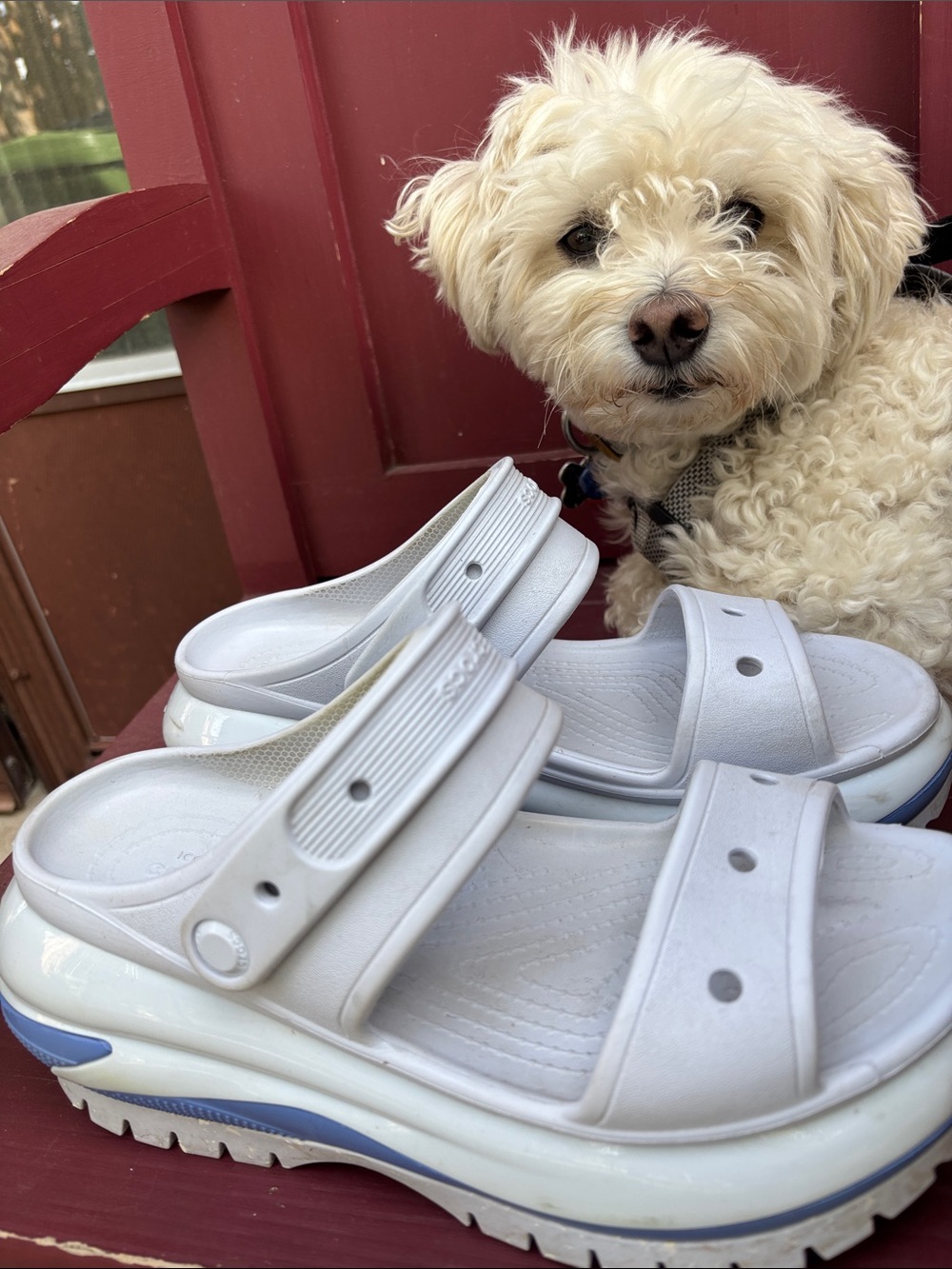 CROCS DREAMSCAPE (baby blue pastel tones) Dual-Strap Platform Sandals